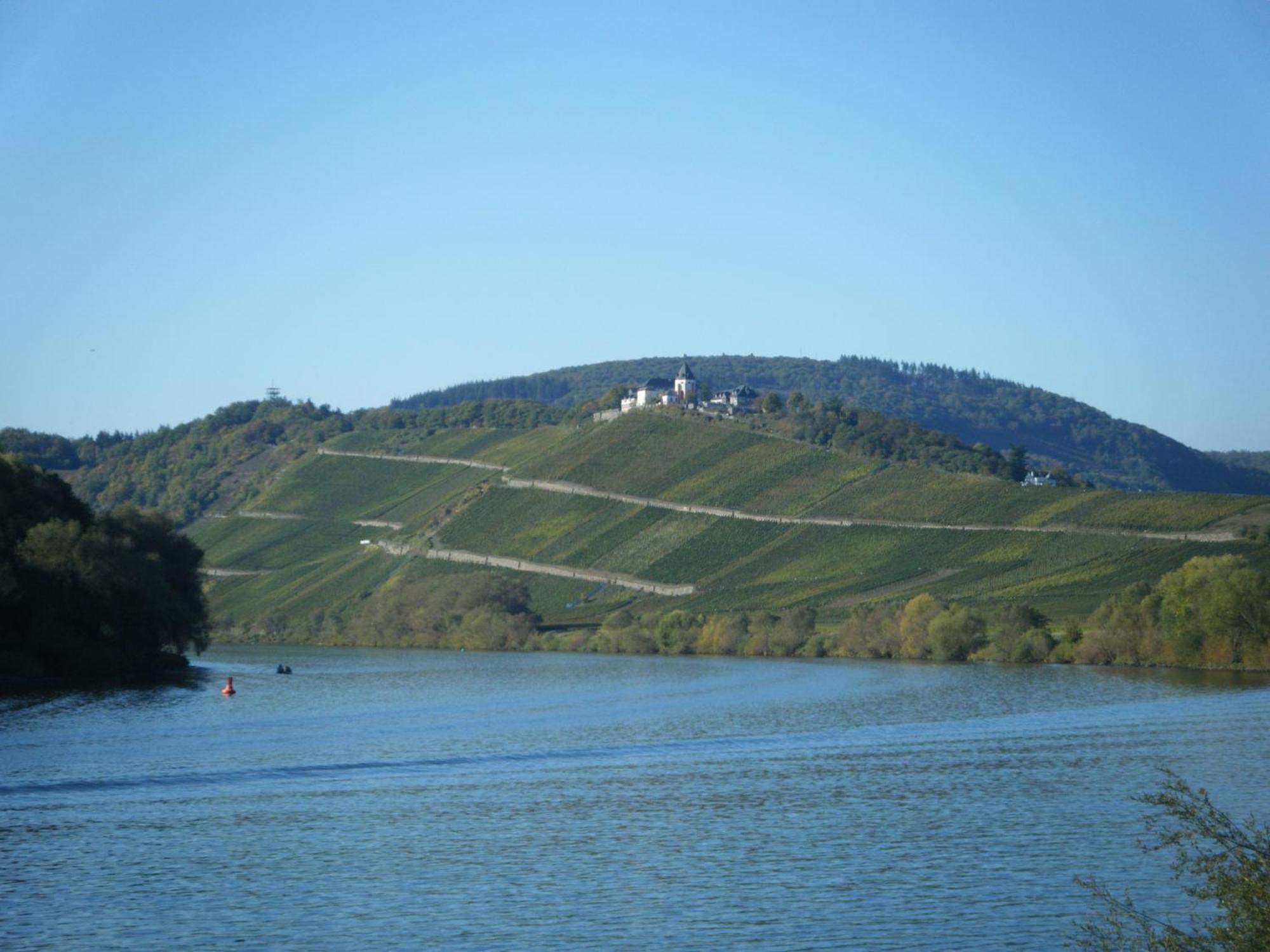 Ferienweingut Hensler Hotel Briedel Bagian luar foto