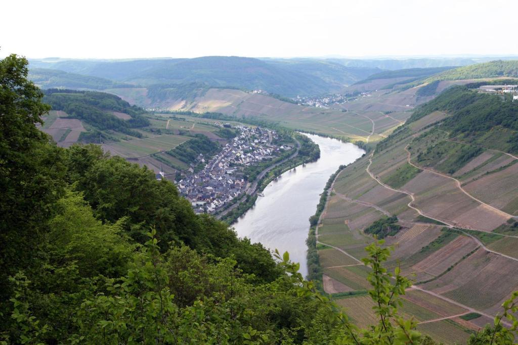 Ferienweingut Hensler Hotel Briedel Bagian luar foto